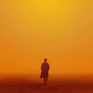 毛茸茸业余亚洲
