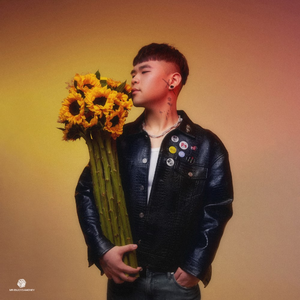 毛茸茸业余亚洲
