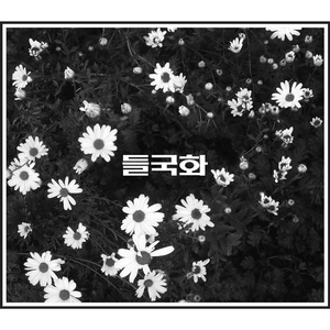 毛茸茸业余亚洲
