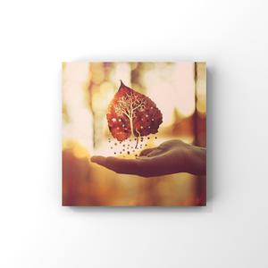 毛茸茸业余亚洲
